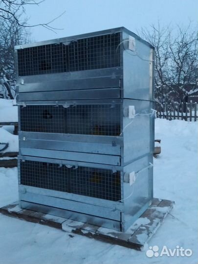 Брудер для цыплят