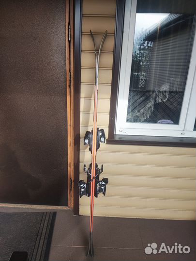 Горные лыжи