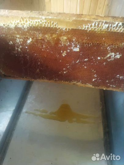 Мед домашний