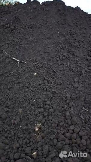 Чернозем рязанский