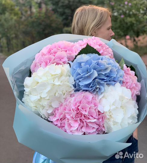 Красивые Букеты из Гортензий. Свежие Цветы