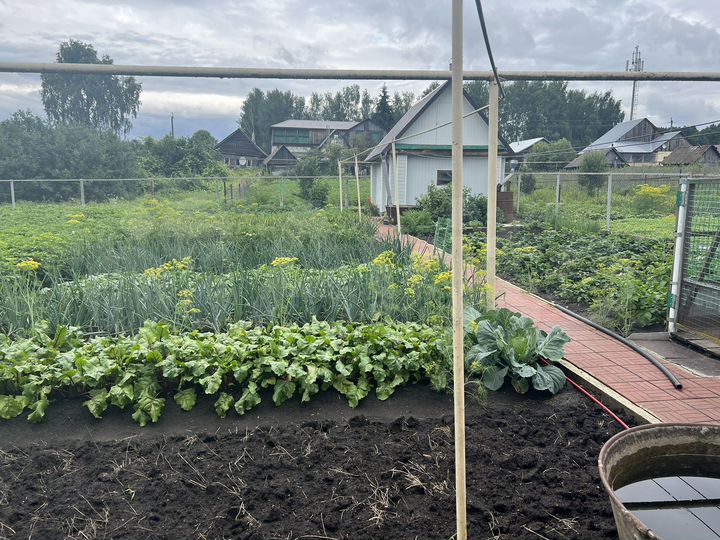 Дом 90 м² на участке 6 сот.