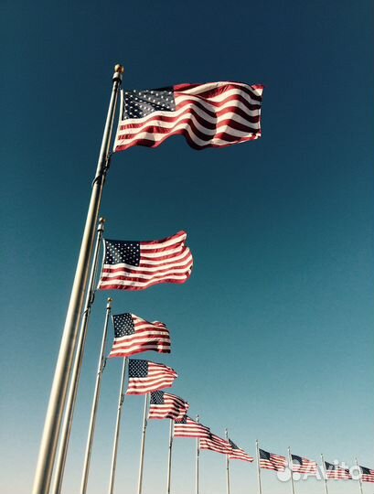 Заполнение анкеты на лотерею Грин карт DV-2025