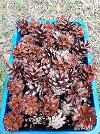 Для поделок,декора