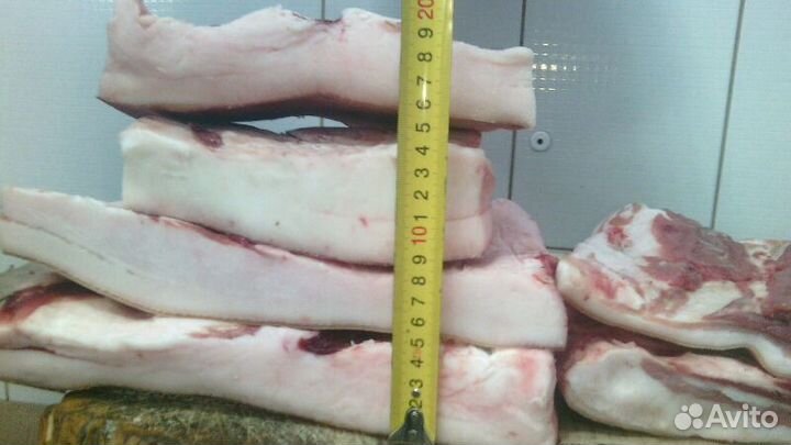 Сало опт продам