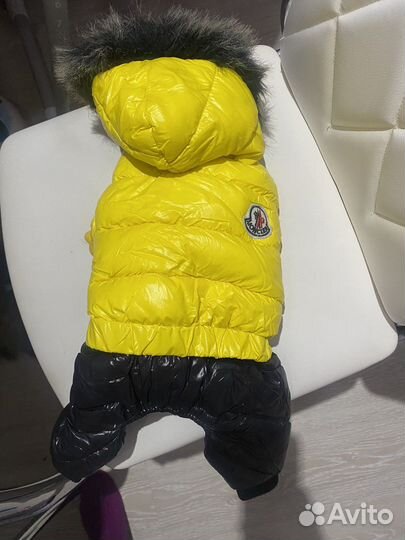 Костюм зимний для собак
