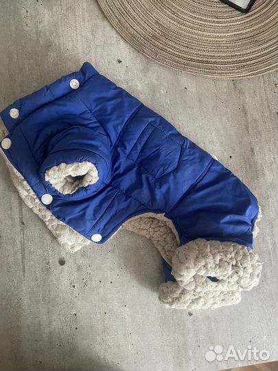 Одежда для собак мелких пород