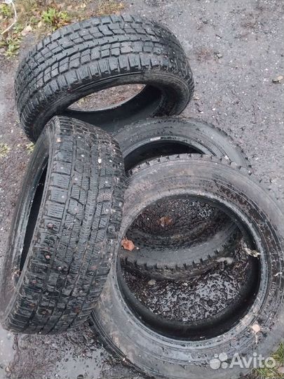 Dunlop All Season Maxx AS1