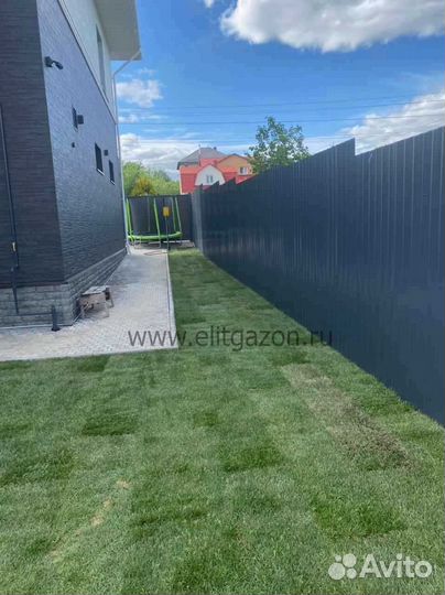 Рулонный газон от производителя