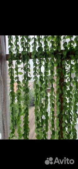 Шторы бамбуковые