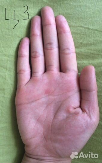 Хиромантия, чтение,обучение