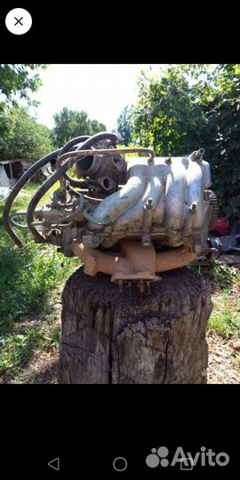 Голова 2110 взборе