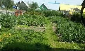 Дача 20 м² на участке 9 сот.