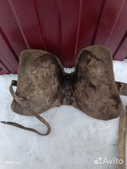 Сбруя для лошади