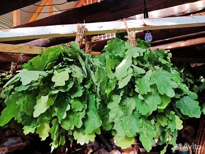 Веники дубовые