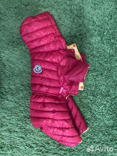 Одежда для собак