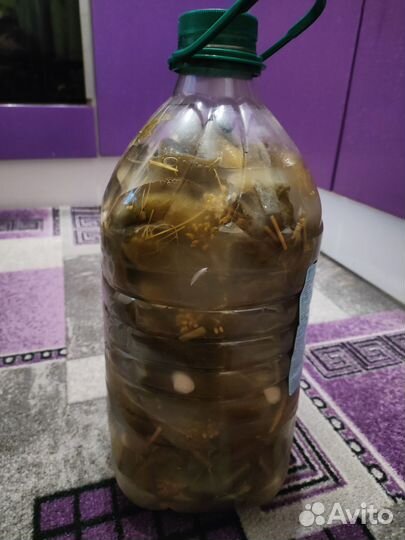 Огурцы соленые в бутылках