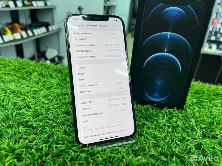iPhone 12 Pro Max, 256 ГБ