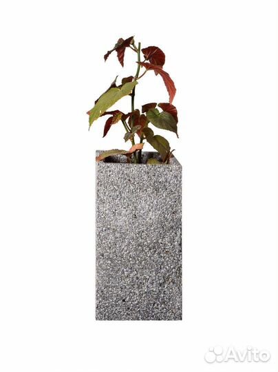 Ваза из бетона в наличии и под заказ