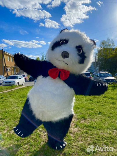 Панда 2 метра