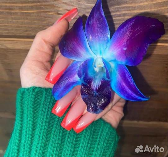 Наращивание ногтей на дому