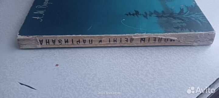 Книга,Самолёты летят к партизанам