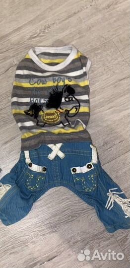 Комбинезоны для собак мелких пород