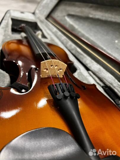 Скрипка 1/2