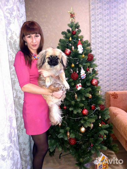 Ищем невесту