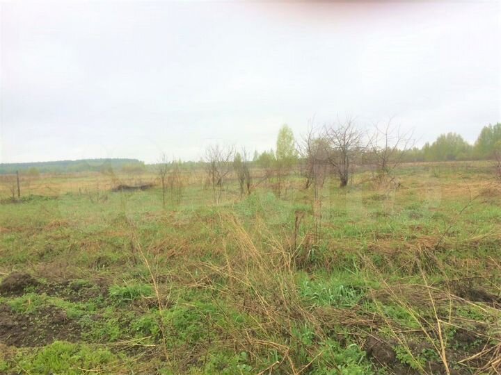 Участок 31 сот. (ИЖС)