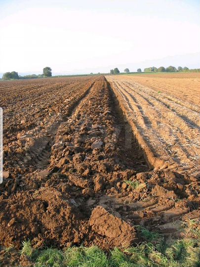 Участок 4,5 га (СНТ, ДНП)