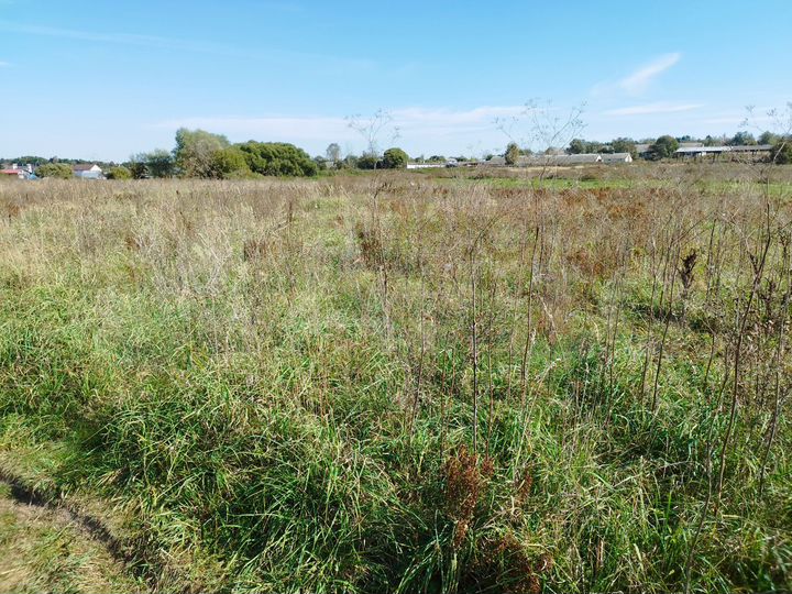 Участок 7,5 сот. (ИЖС)