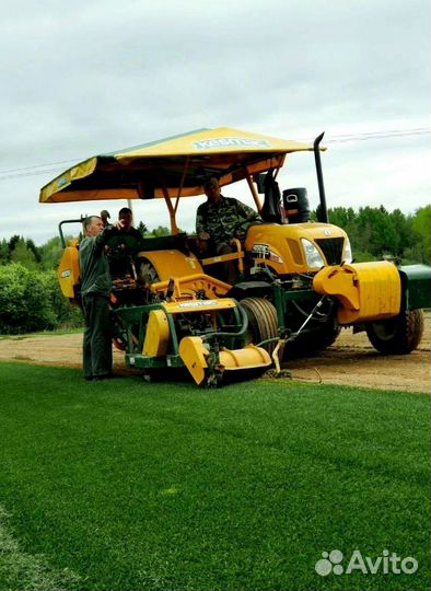 Рулонный газон