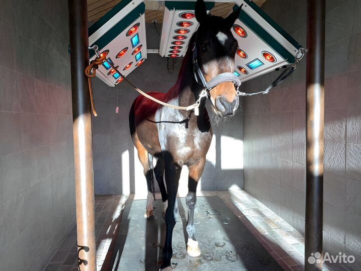 Солярий для лошадей PS 845-L