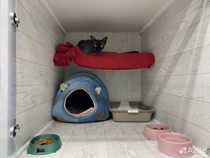 Зоогостиница/Передержка животных