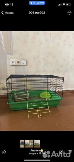 Клетка и вольер