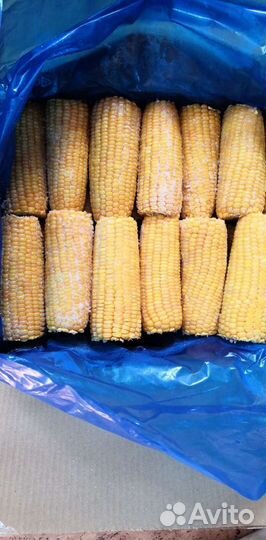 Кукуруза в початках