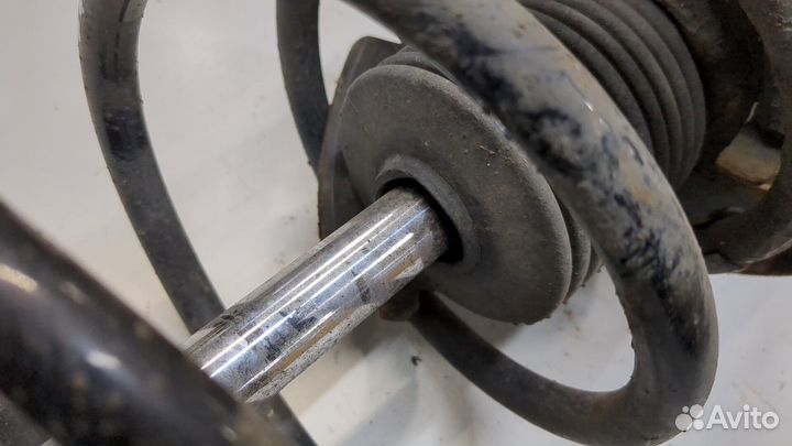 Амортизатор подвески Renault Megane 3 2009, 2009