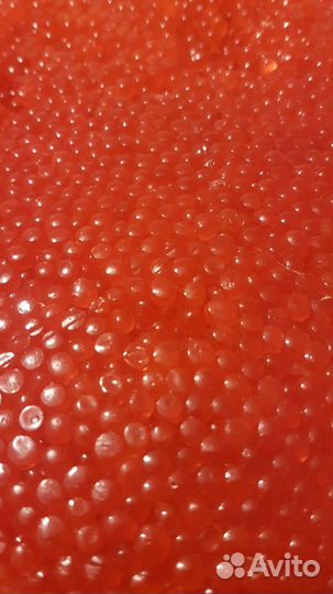 Красная икра кета розница