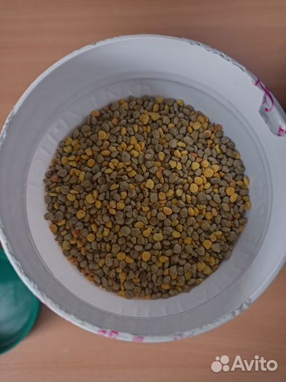 Пыльца цветочная