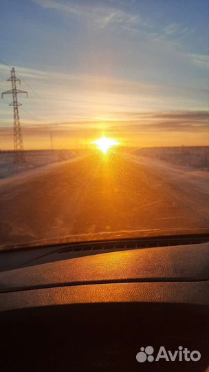 Трезвый водитель