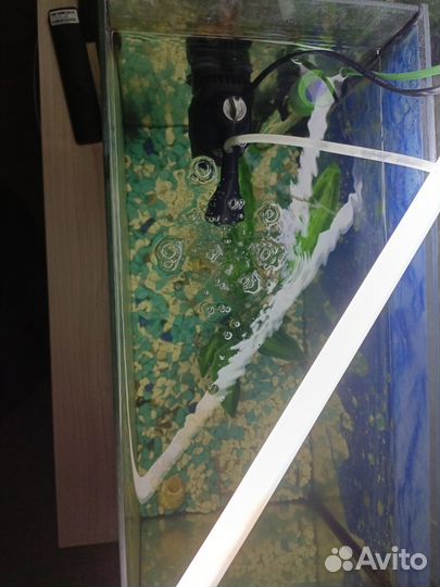 Аквариум с рыбками