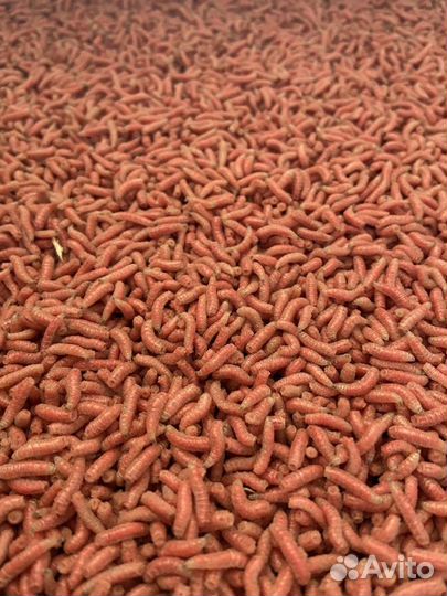 Опарыш оптом