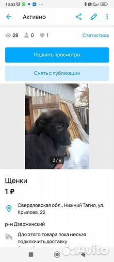 Щенки