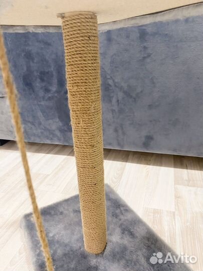 Когтеточка