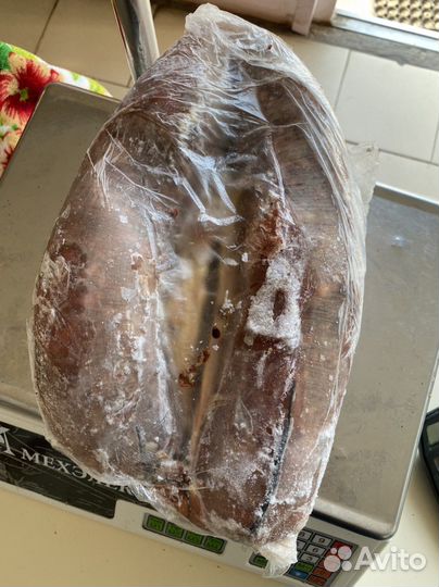 Мясо говядина. Свинина. Баранина. Конина