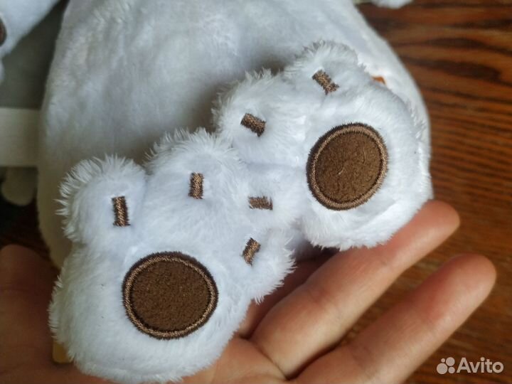 Басик оригинал новая