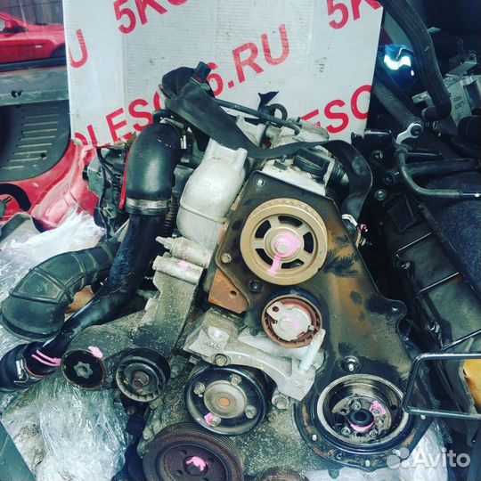 Двигатель Ford Focus 1 1.8л. BHP bhpa