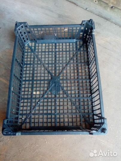 Лотки под ягоду