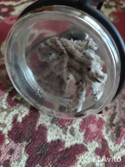 Спиртовая горелка СССР